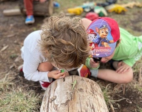 Children engaged in a classroom investigation