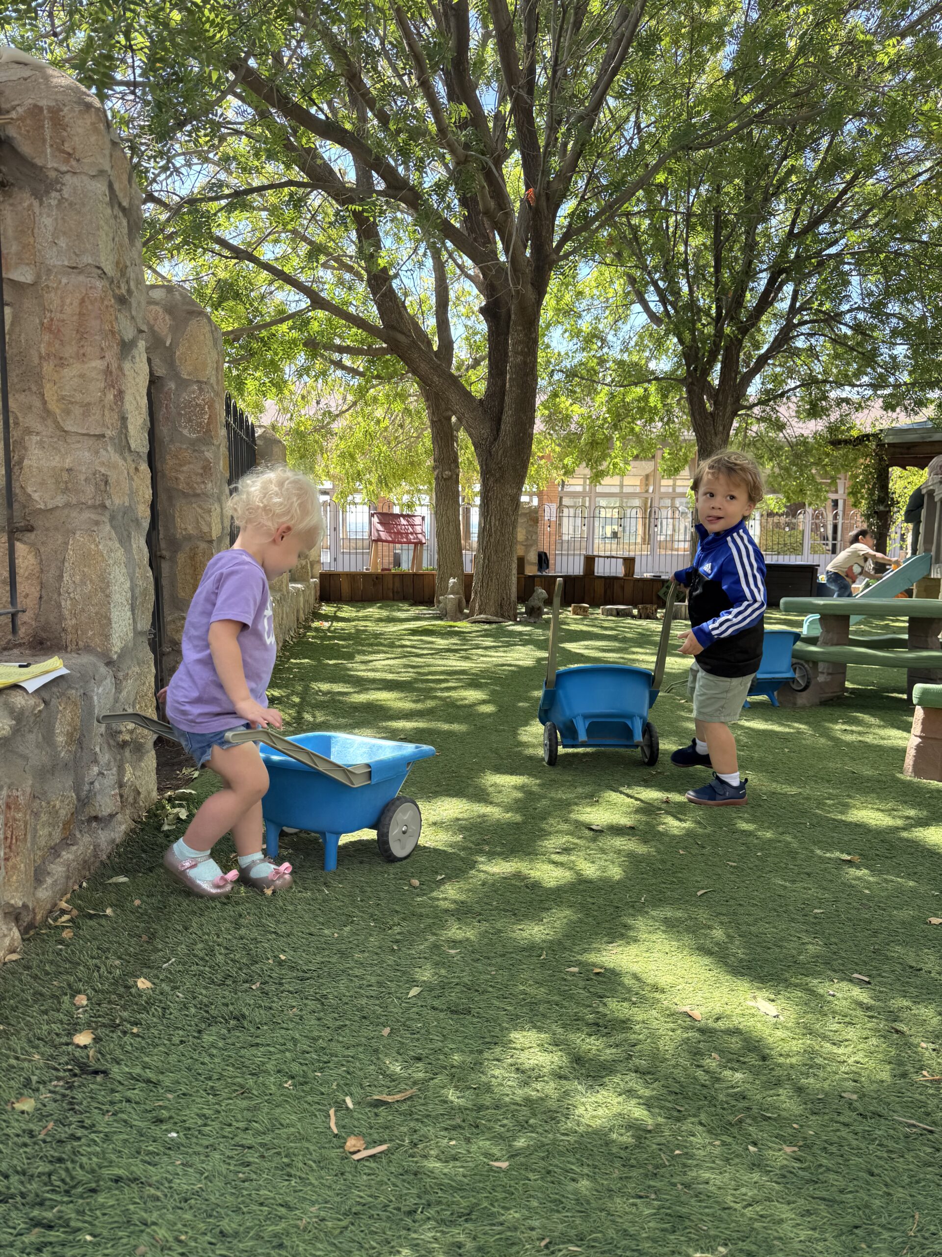 Children moving wheelbarrows together in the outdoor classroom